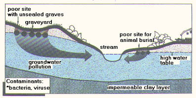 illustration of potential pathways Cemeteries and Excavation can contaminate groundwater